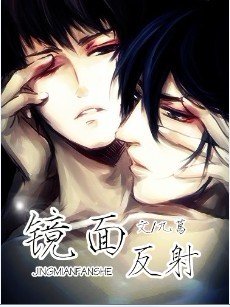 镜面反射
